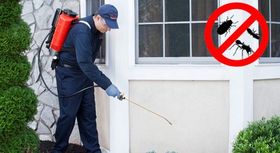 Başkale Tahtakurusu İlaçlama böcek ilaçlama ve haşere kontrolü — ilaclama-tr.com